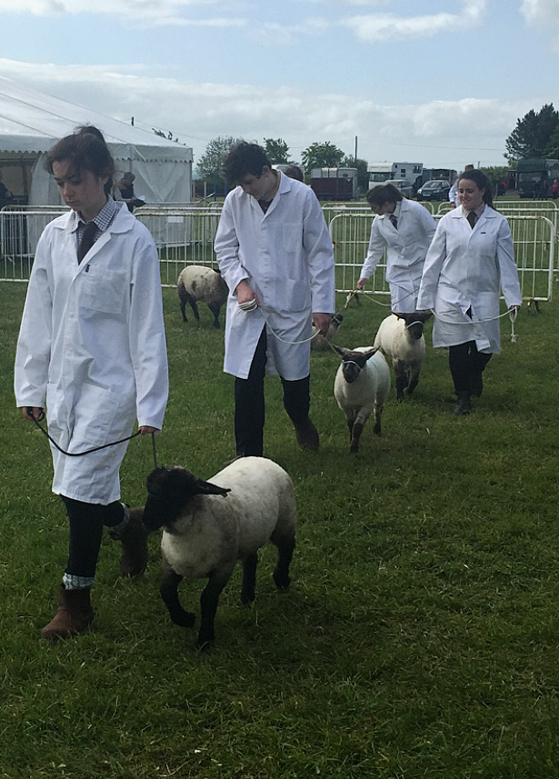 Young farmers